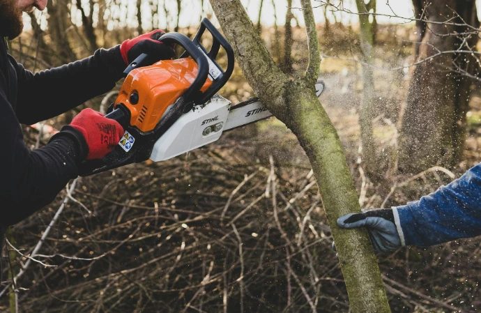 Gloved hands cutting through a small tree trunk with a chainsaw, sawdust flying