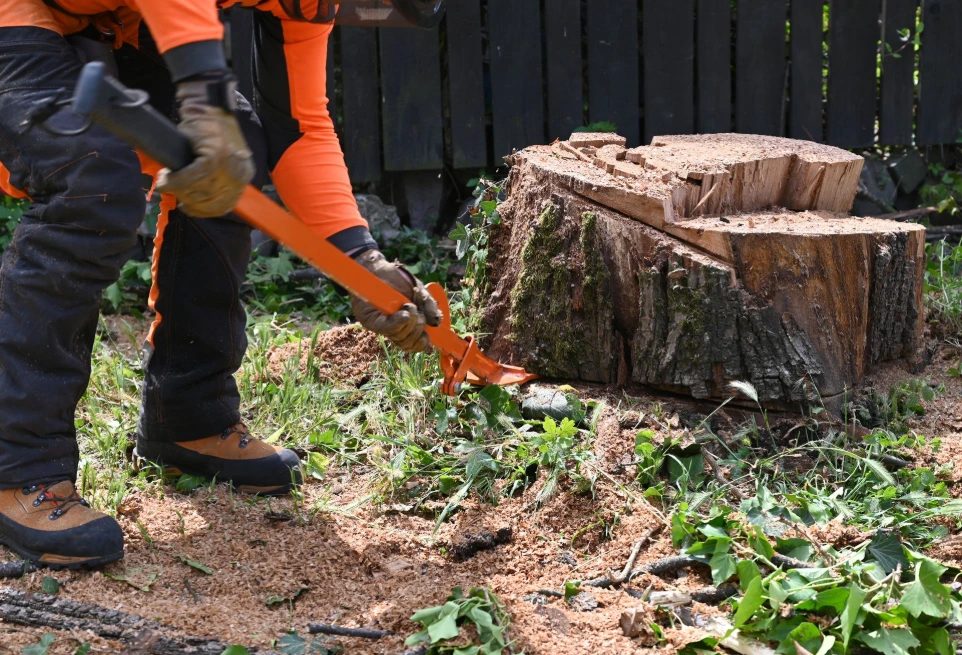Worker in orange safety gear levering out a large tree stump in a backyard